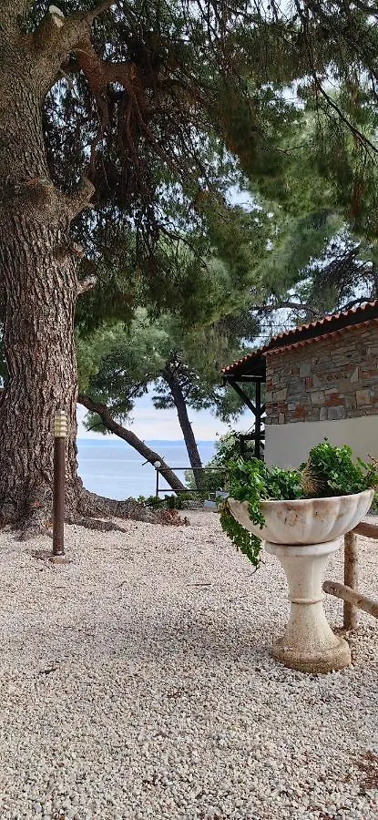 Grandmas Paradise Villa Psakoudia 0*,